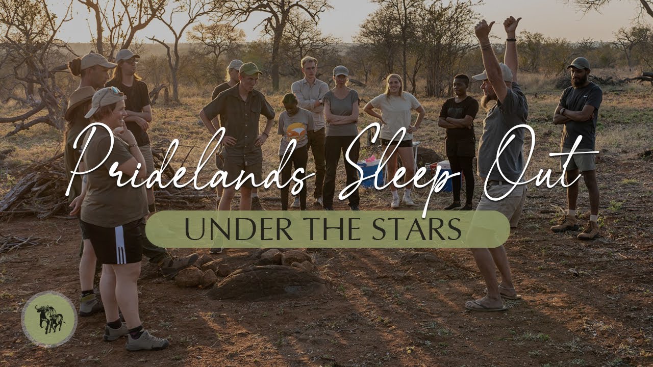 Underneath the Stars | Pridelands Sleep Out