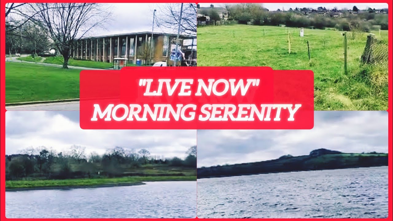 🔴 LIVE NOW: Morning Walk to the Reservoir!