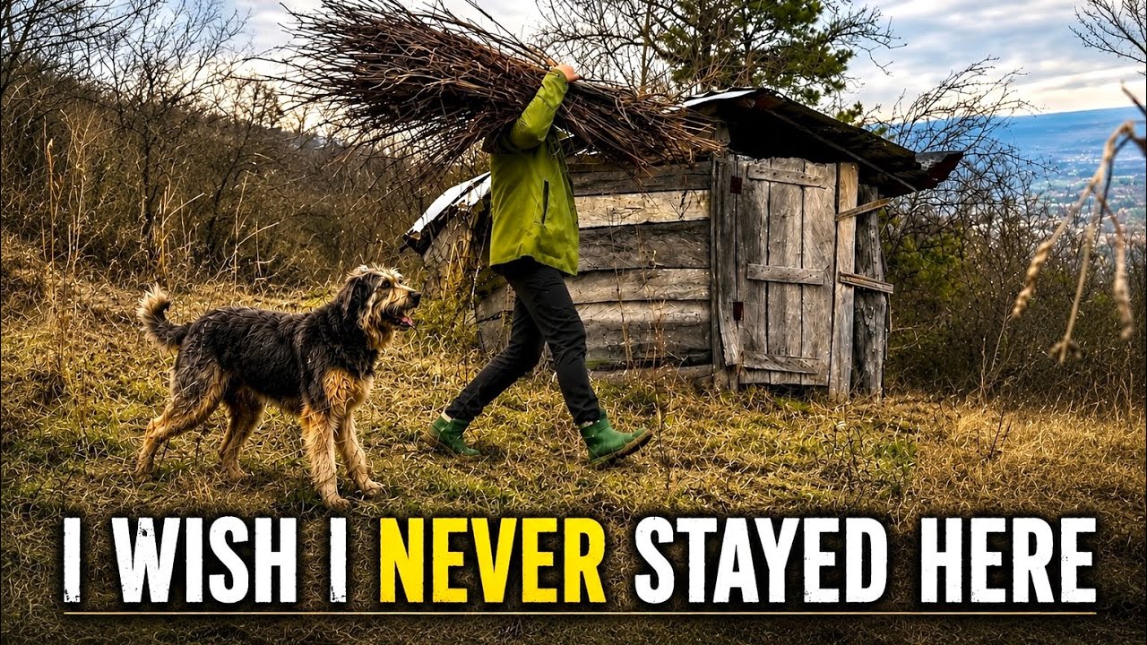 Alone in an Abandoned Forest Cabin… Wolves Didn’t Let Me Sleep