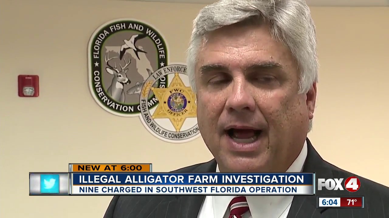 Alligator poaching investigation leads to arrests of nine Southwest Florida men