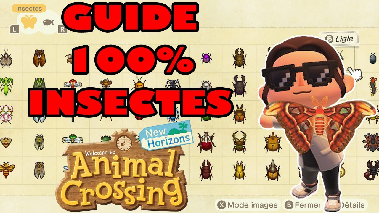 GUIDE COMPLET DES INSECTES - ANIMAL CROSSING NEW HORIZONS