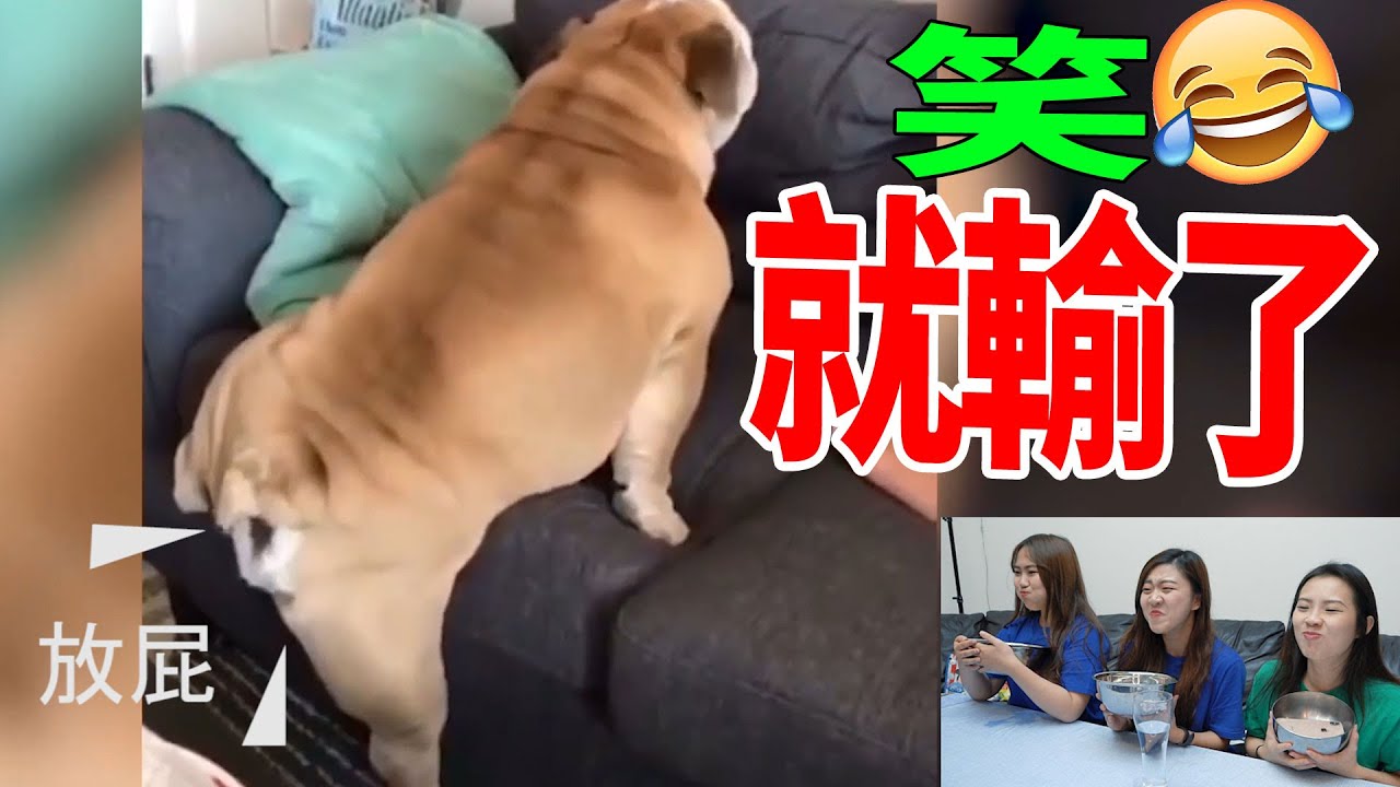 笑就輸了.. you laugh? you lose!最愛.吃貨們