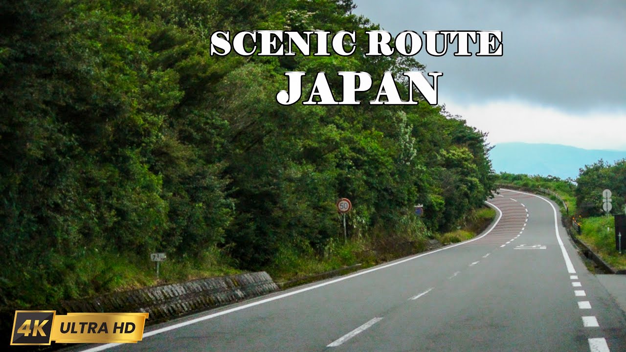 Driving Through Japan’s Atami Skyline | Foggy Scenic Road Trip 4K 🚗