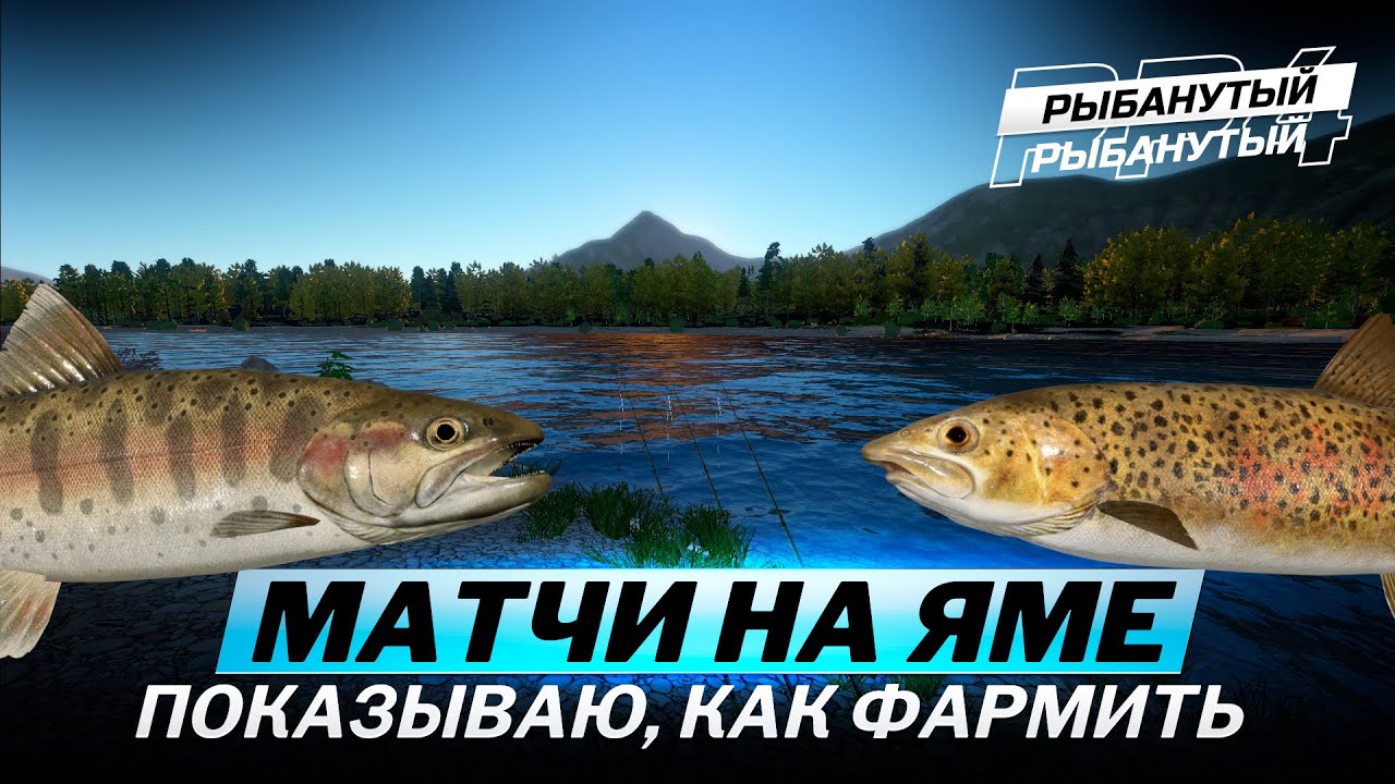 ФАРМ СЕРЕБРА на ЯМЕ. НА ПОПЛАВОК. Русская Рыбалка 4