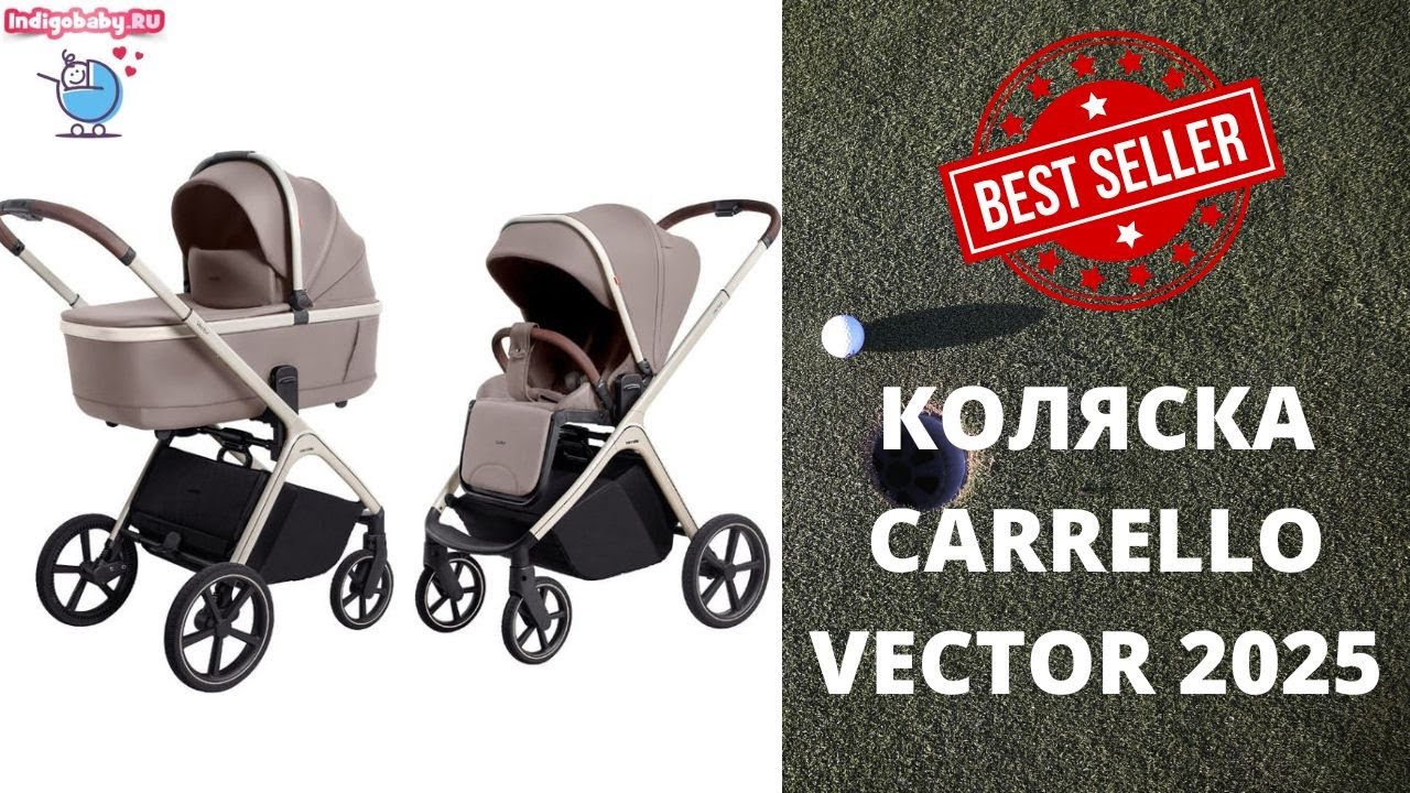 Коляска CARRELLO VECTOR crl-6551❤. Смотрите видеообзор первыми!