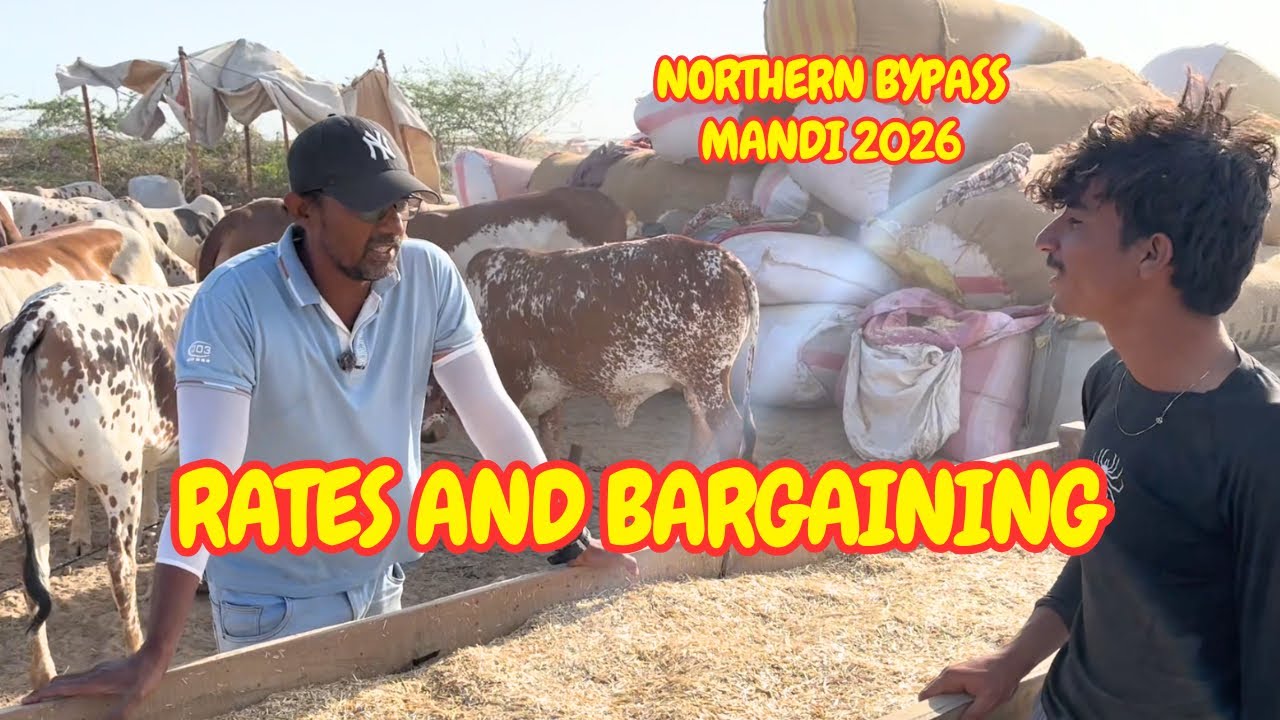 Rates and Bargaining Northern Bypass Mandi 2026