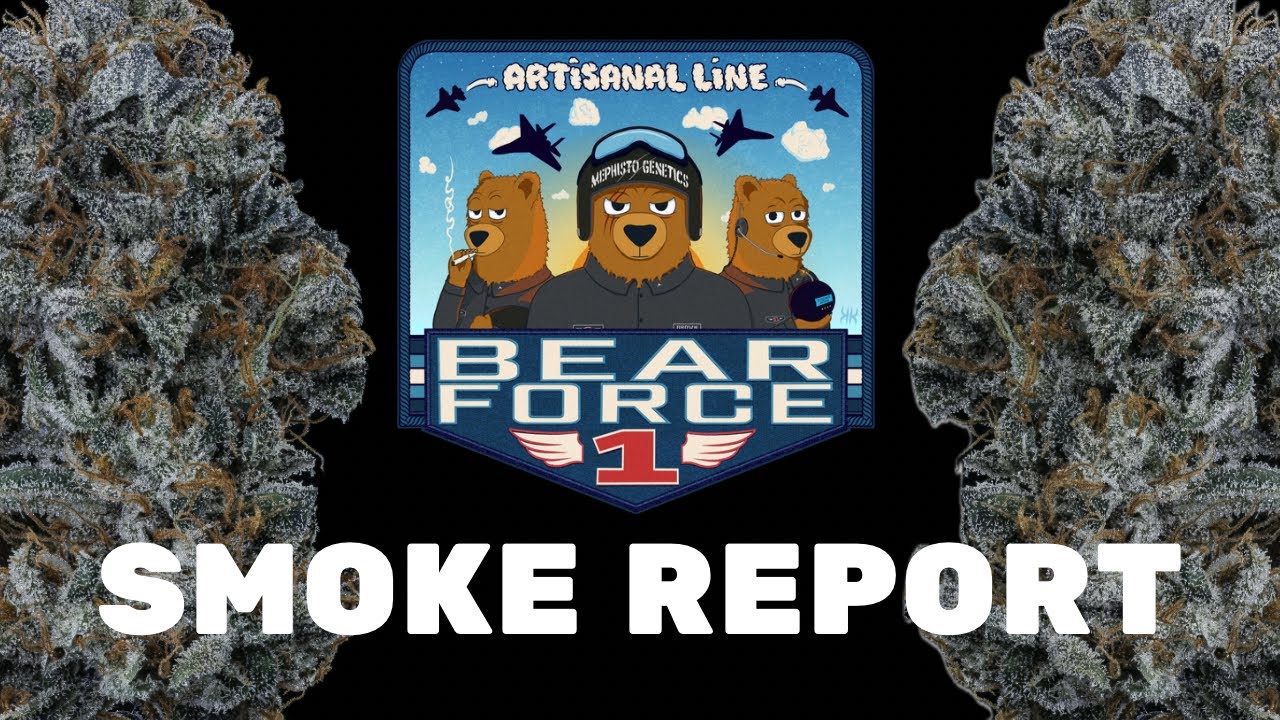 Отчет о задымлении на борту самолета Bear Force One