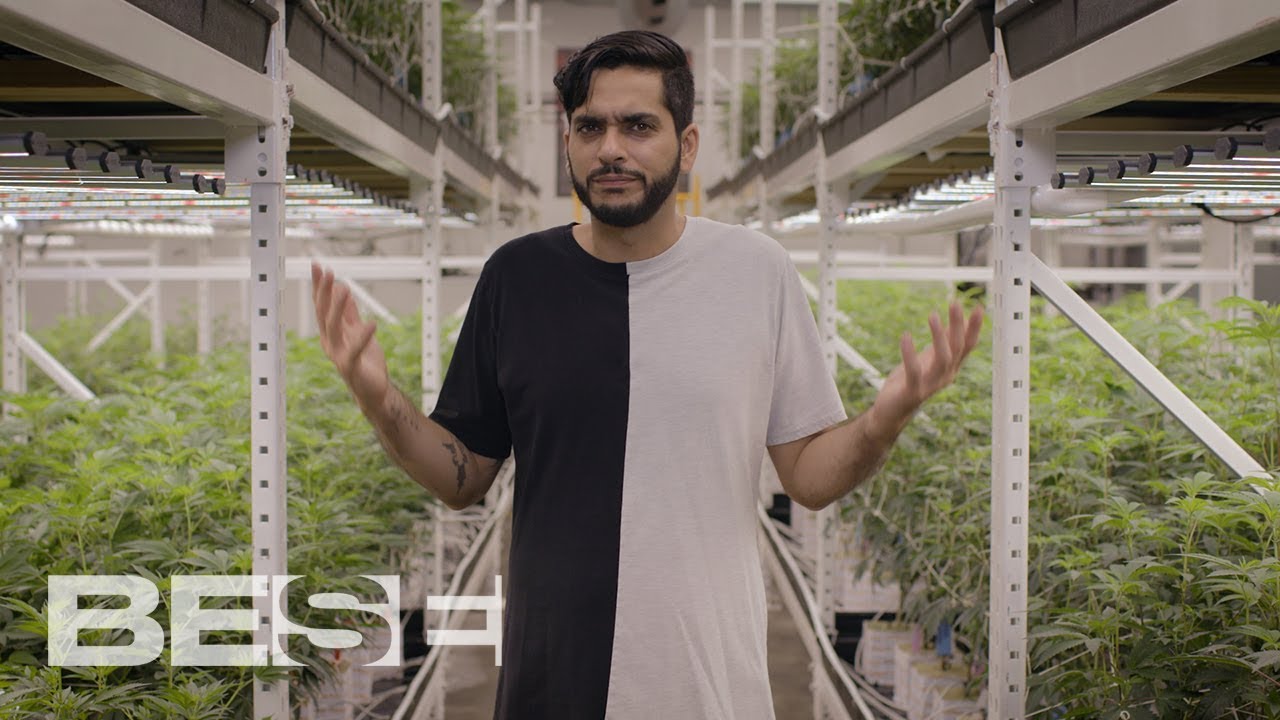 Is The Word "Marijuana" Racist?