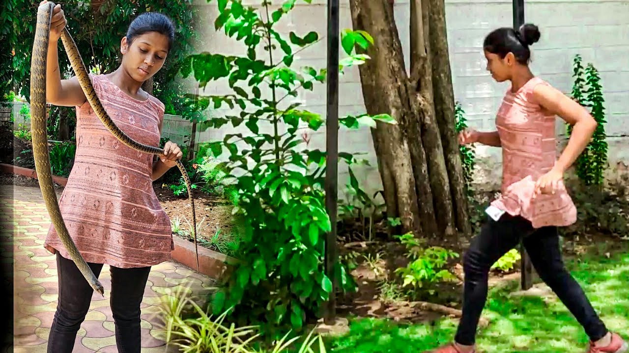 इस सापने तो मुझे बहुत दौडाया😅