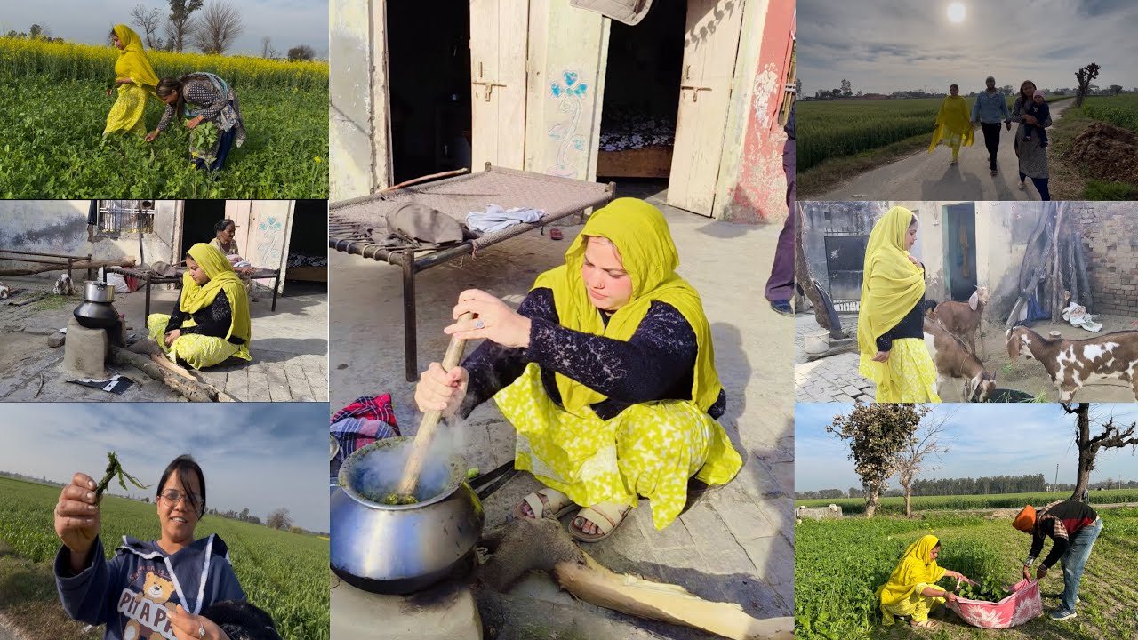 🌾 Village Vibes ✅❤️‍🔥 Saag Labde Labde Ponch Gye Pind 