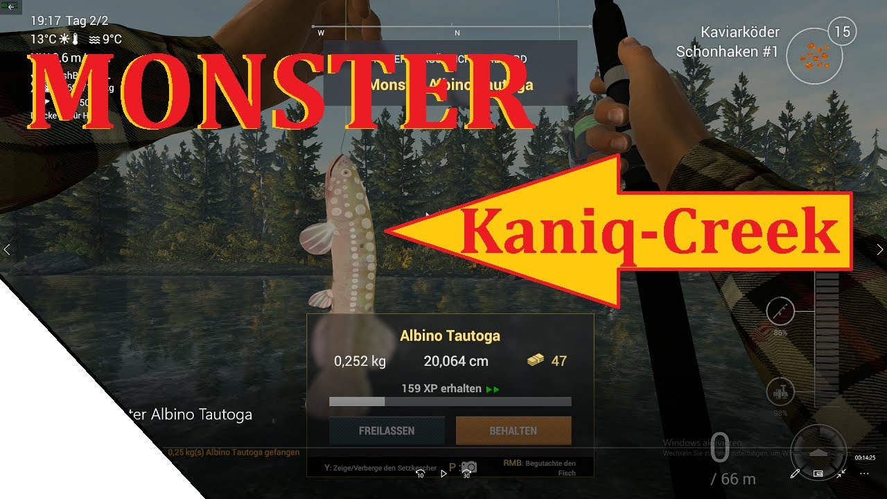 Kaniq creek Monster Albino Tautoga