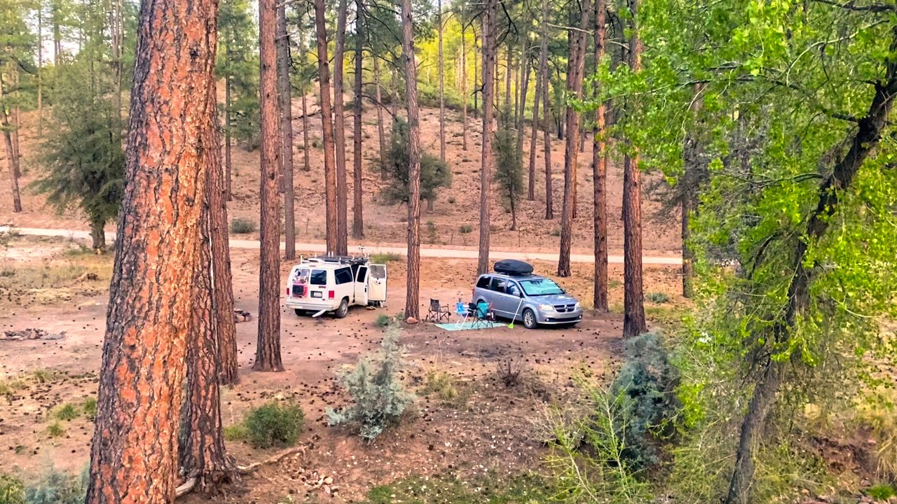 Arizona Van Life: Tonto National Forest - A Nature Lover's Dream