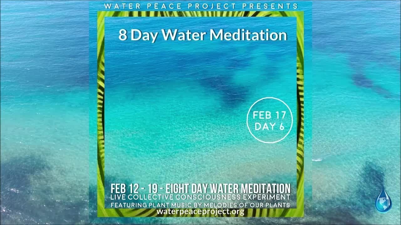 FEB 17 Day 6 of 8 Day Water Meditation & Consciousness Experiment Featuring Plant Music -2026
