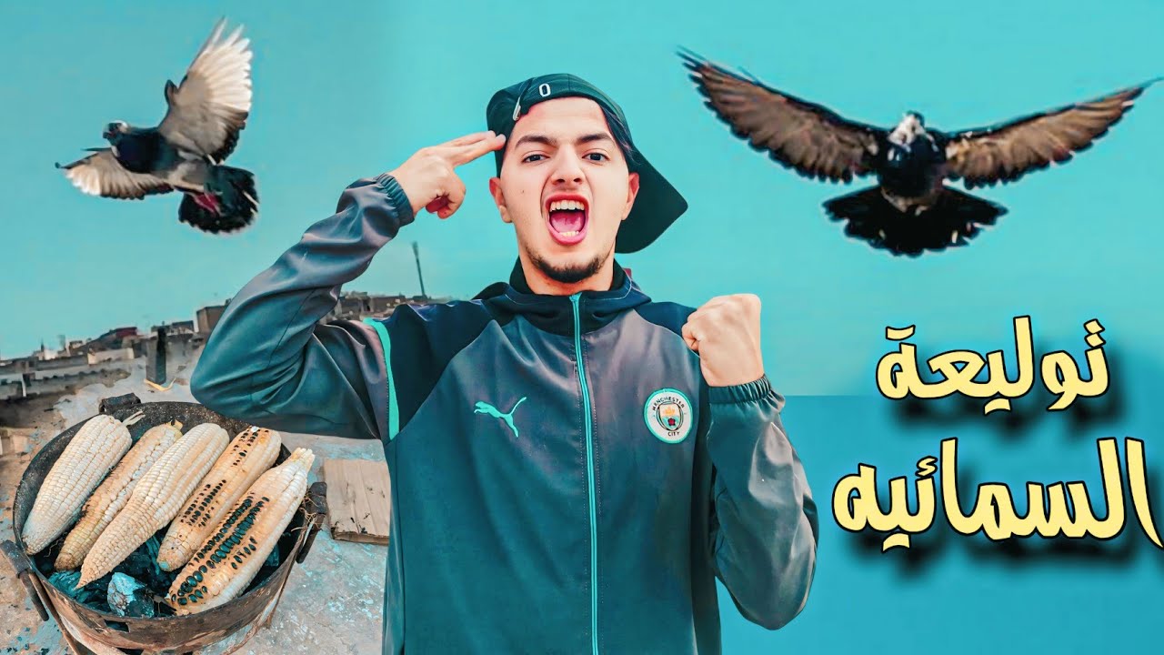 توليعة السمائية 🔥 ذكر الحمام محيح في السماء 🤯