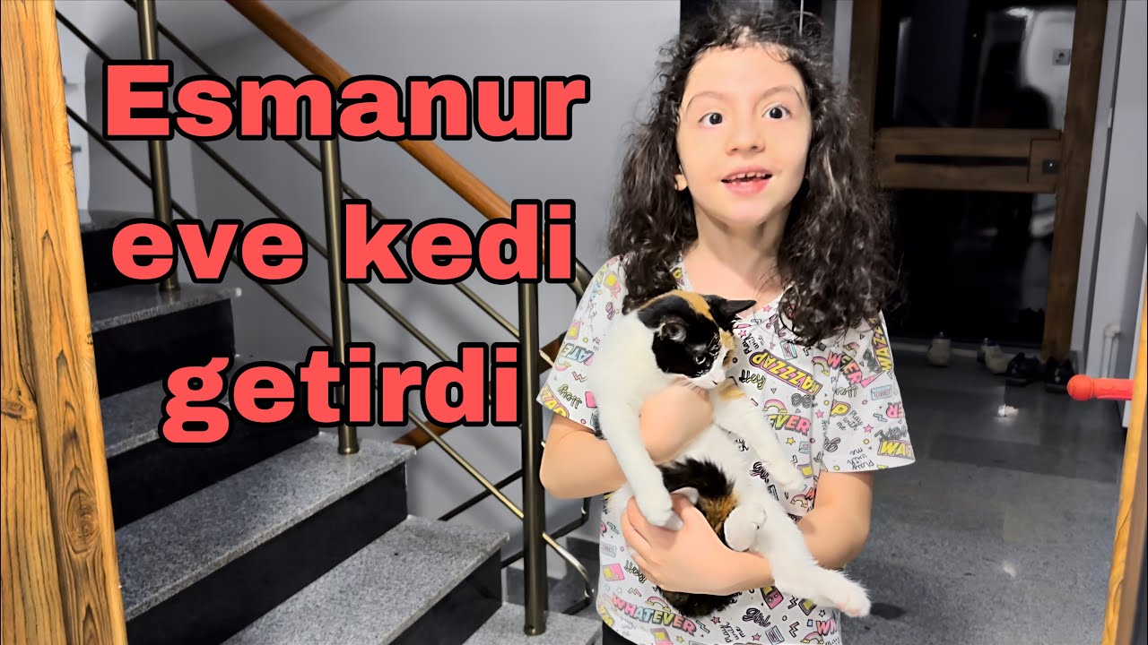 Esmanur Eve Yeni Bir Kedi Getirdi