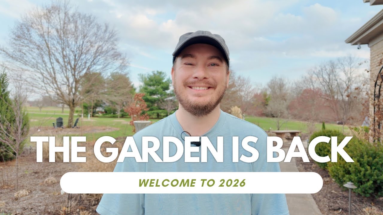 The Garden Is Back and So Am I | The Southerner's Garden