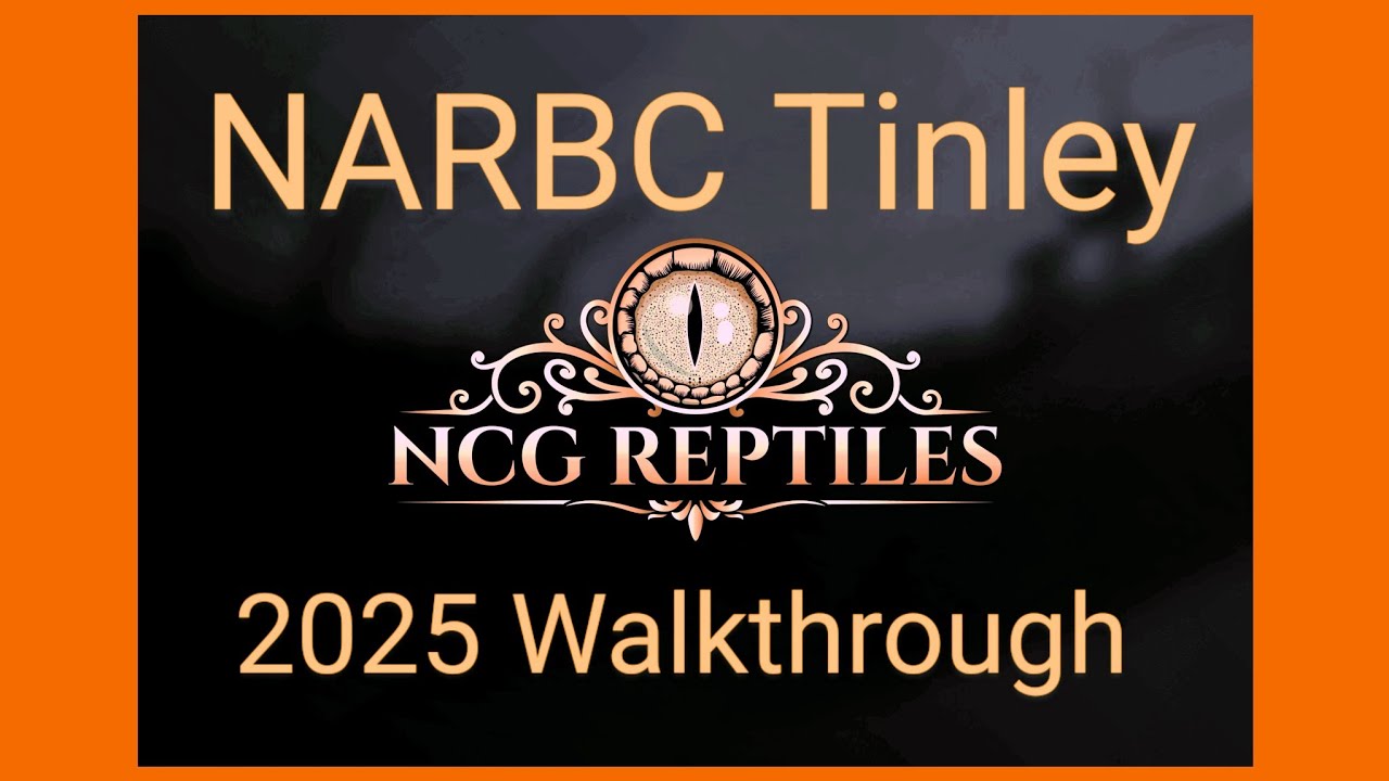 NARBC Tinley 2025 Reptile Expo!