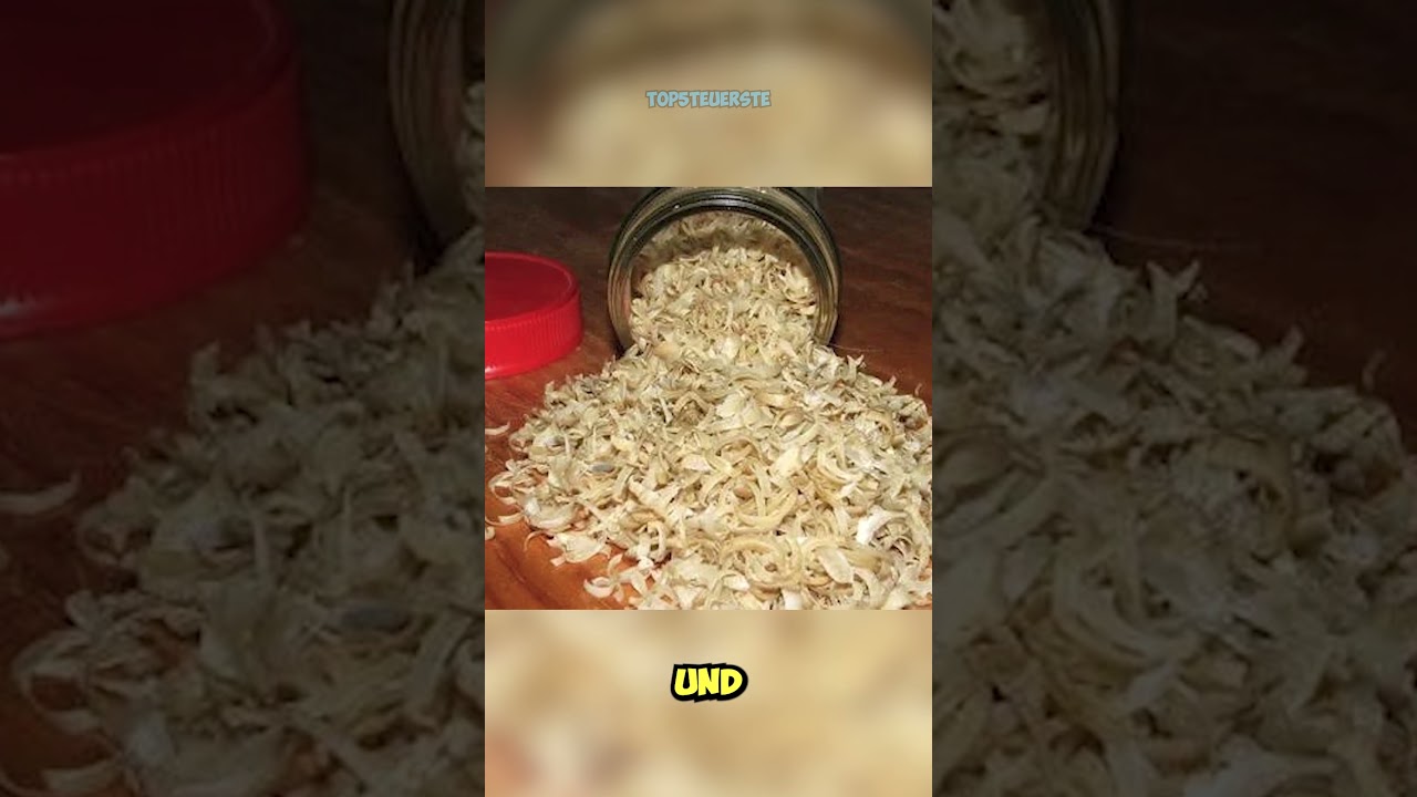 Top5 MERKW&Uuml;RDIGSTE Wettbewerbe 🤯