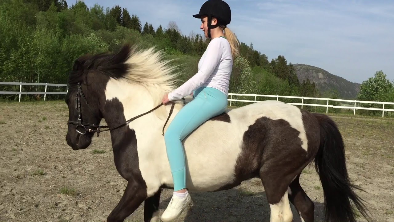 Intro - hest.no