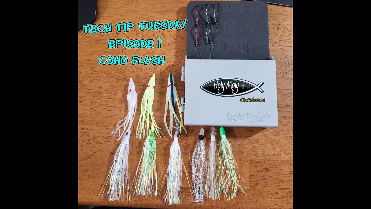 Flash for Coho | Upgrade Your Squids