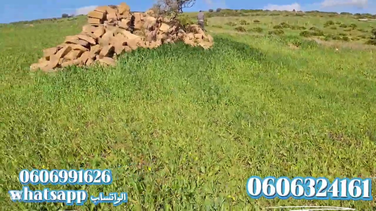 قطعة ارضيه 4400متر ملكية واصلا الطريق في ملوسة نواحي طنجة 