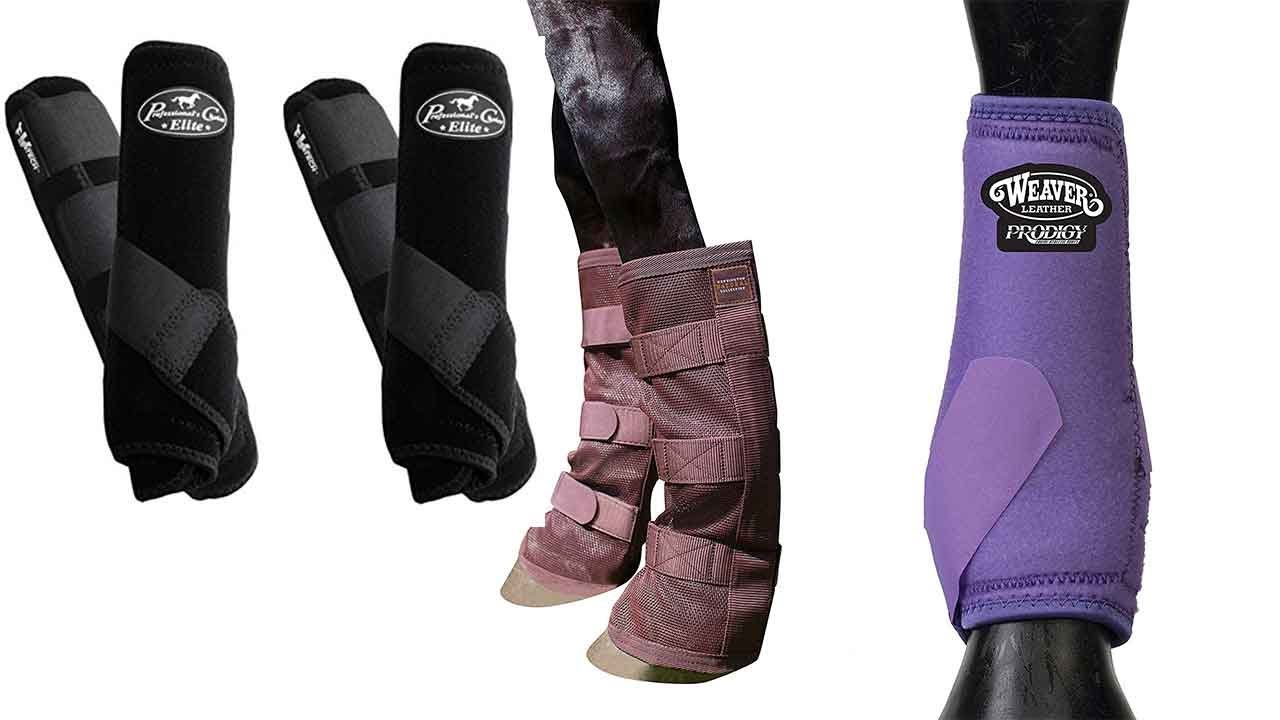 5 Of The Most Popular Horse Boot Protection You Can Watch
