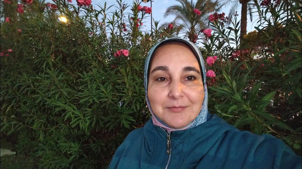 إجابة أسئله متكرره سعر الكنافاه المرسوم والساده طريقة الغسيل بعد الشغل