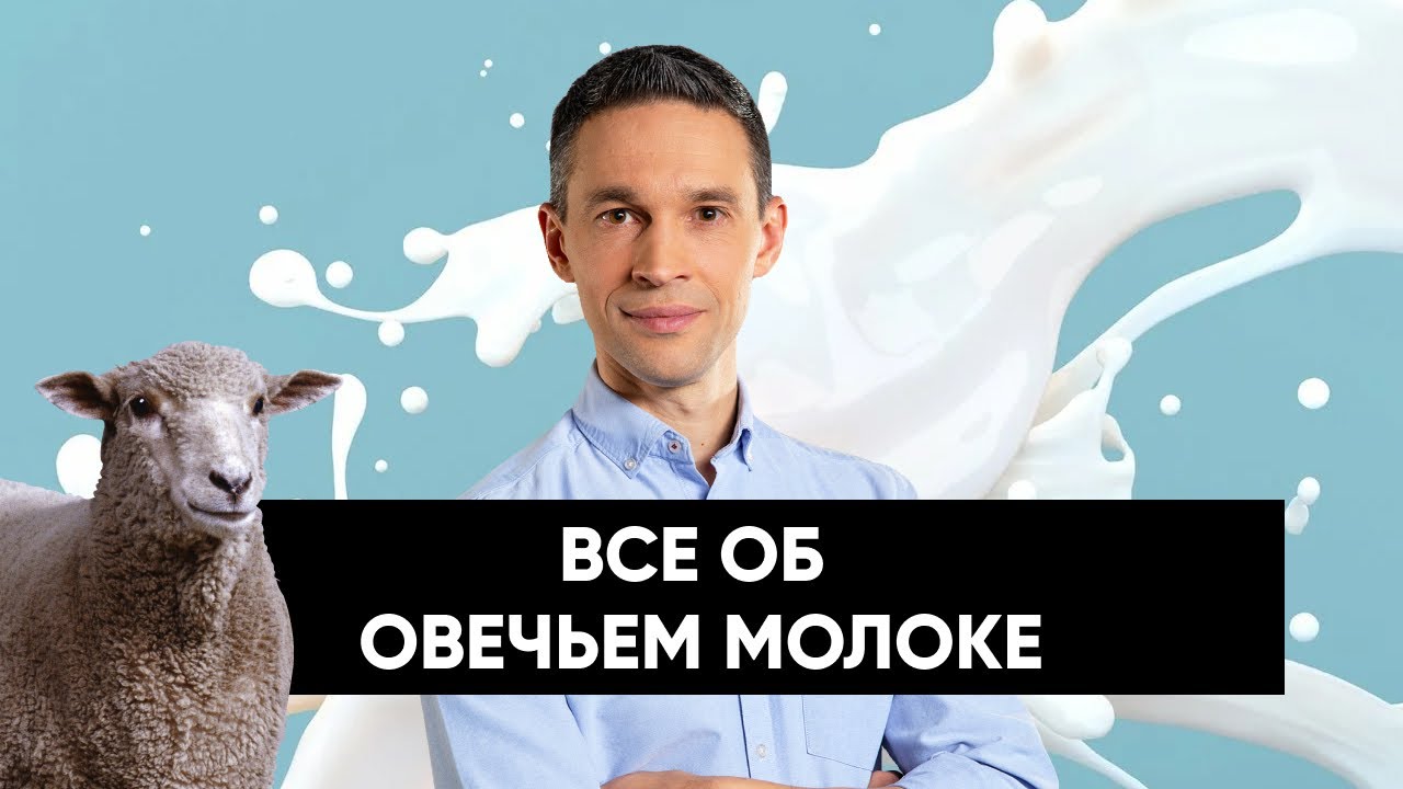 ВСЕ ОБ ОВЕЧЬЕМ МОЛОКЕ