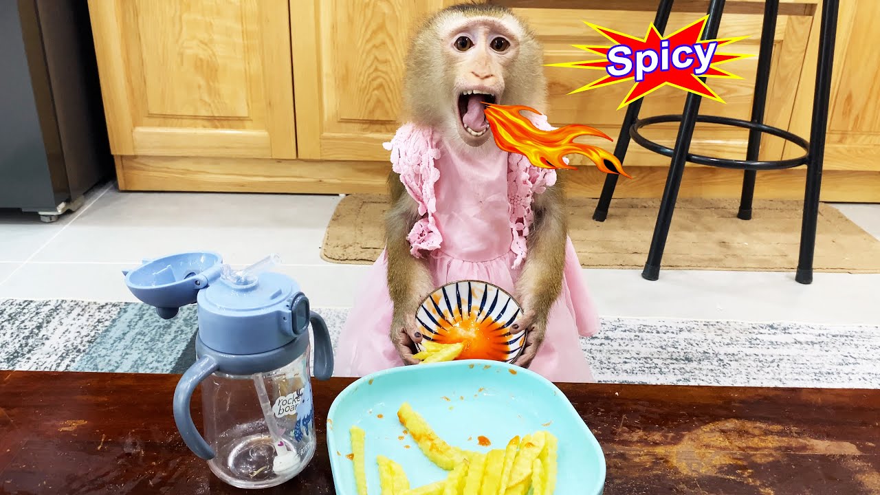 Lyly... Are you okay?? Monkey Lyly was curious about her mother's chili sauce bowl and the ending...