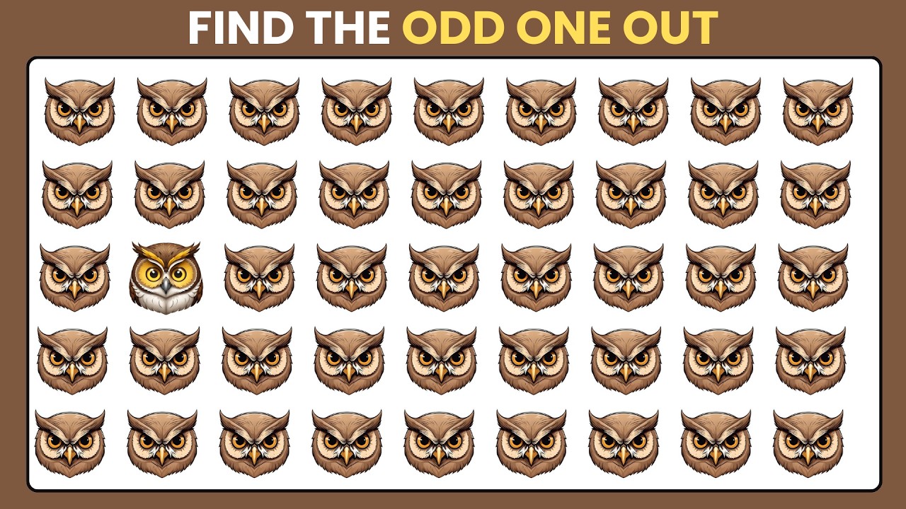 Can You Spot the Odd One Out? Try Not to Fail 😱
