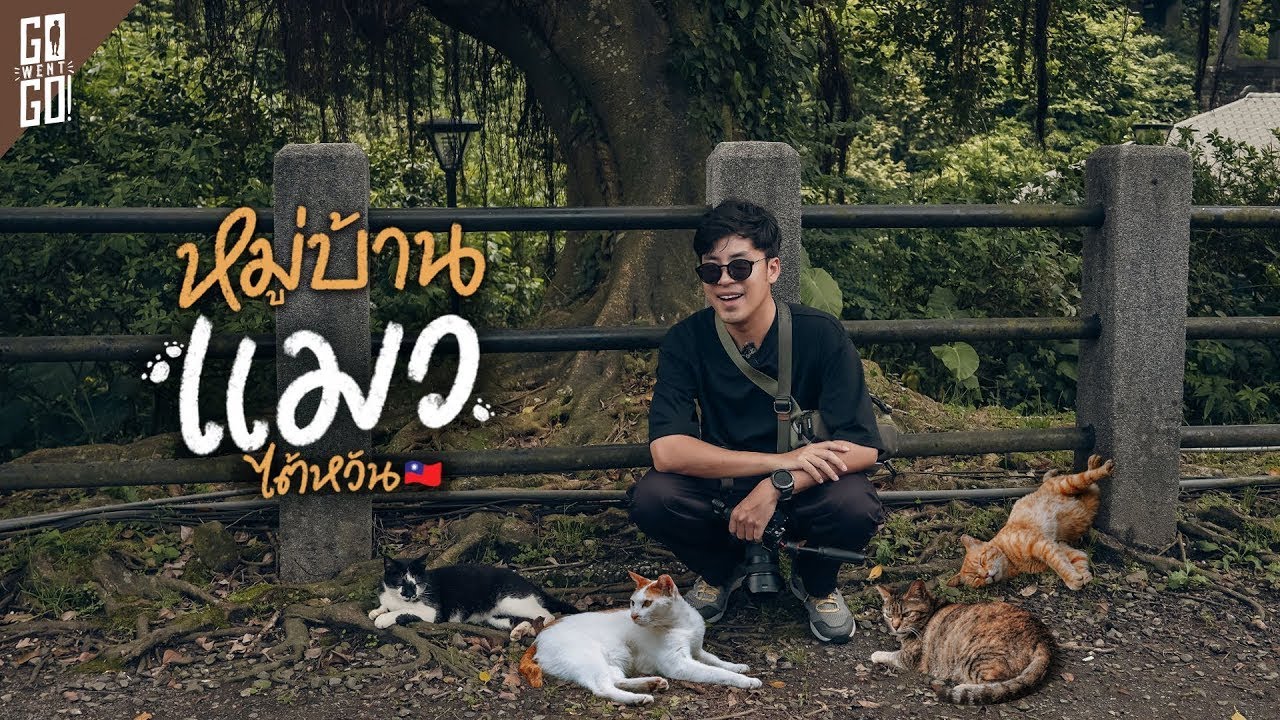 Hundreds of Cat Village Houtong Cat Village, Taiwan | VLOG