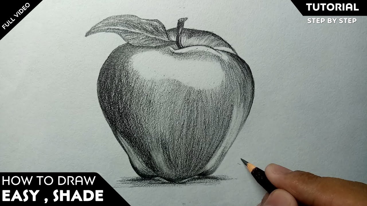 How to Draw apple easy and step by step or shading for beginners
