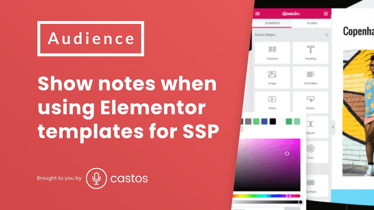 Show notes and transcripts in Elementor podcast template 🤔