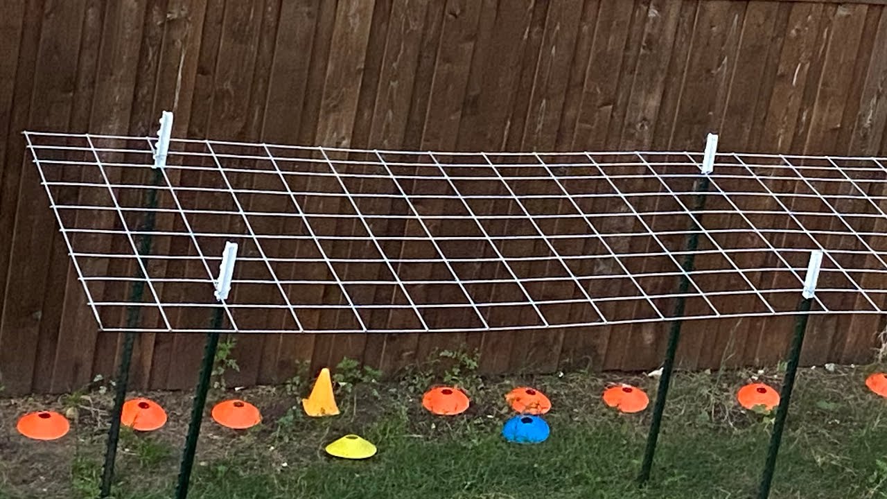 5 Easy Trellis ideas for your backyard