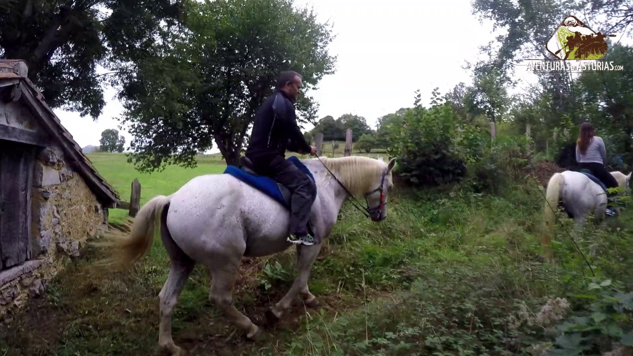 Caballos en Soto de Cangas de Onis Asturias Aventura 5MIN
