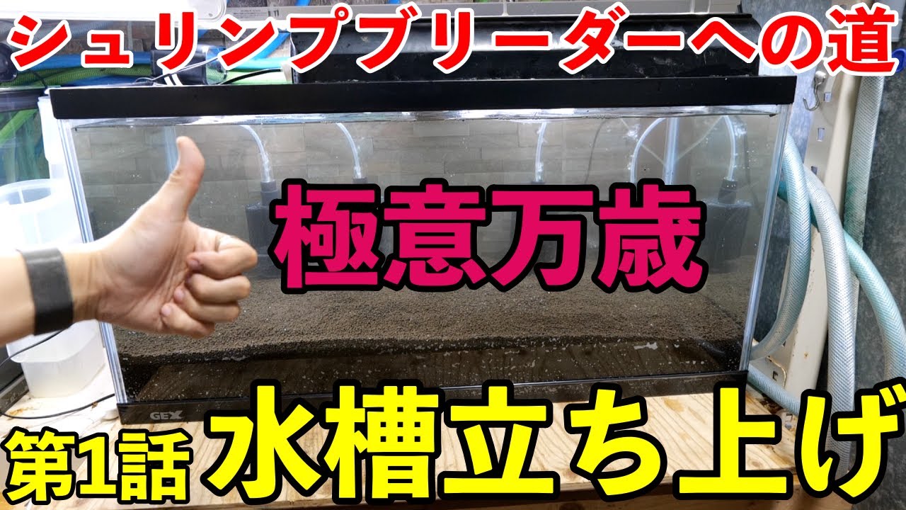 シュリンプブリーダーへの道 第１話 レッドビーシュリンプ水槽立ち上げ