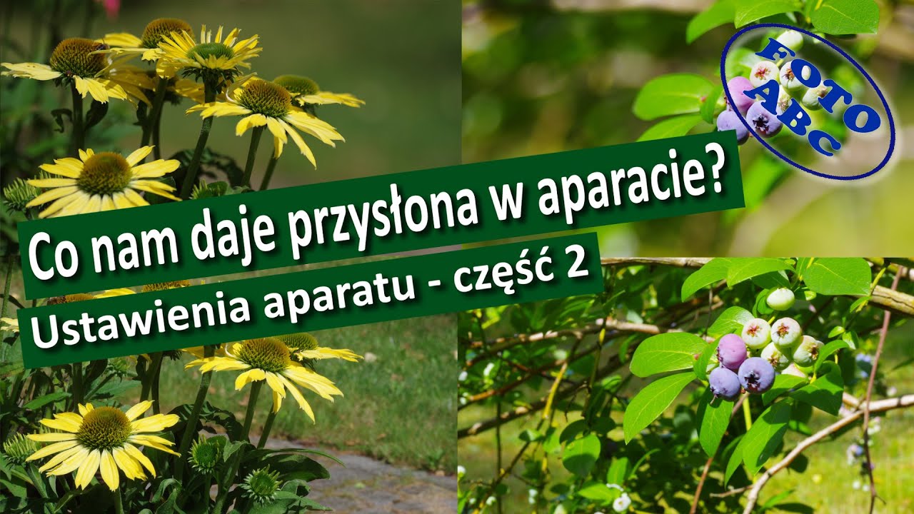 Ustawienia aparatu czyli droga do dobrych zdjęć - cz. 2 / Głębia ostrości