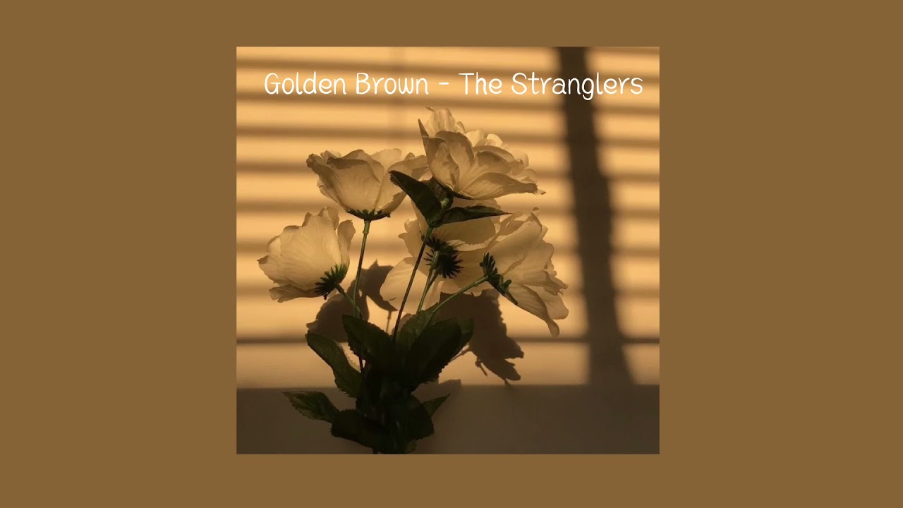 Golden Brown - The Stranglers (Slowed + Reverb) [But it’s the ending only] {15 Minutes Version}