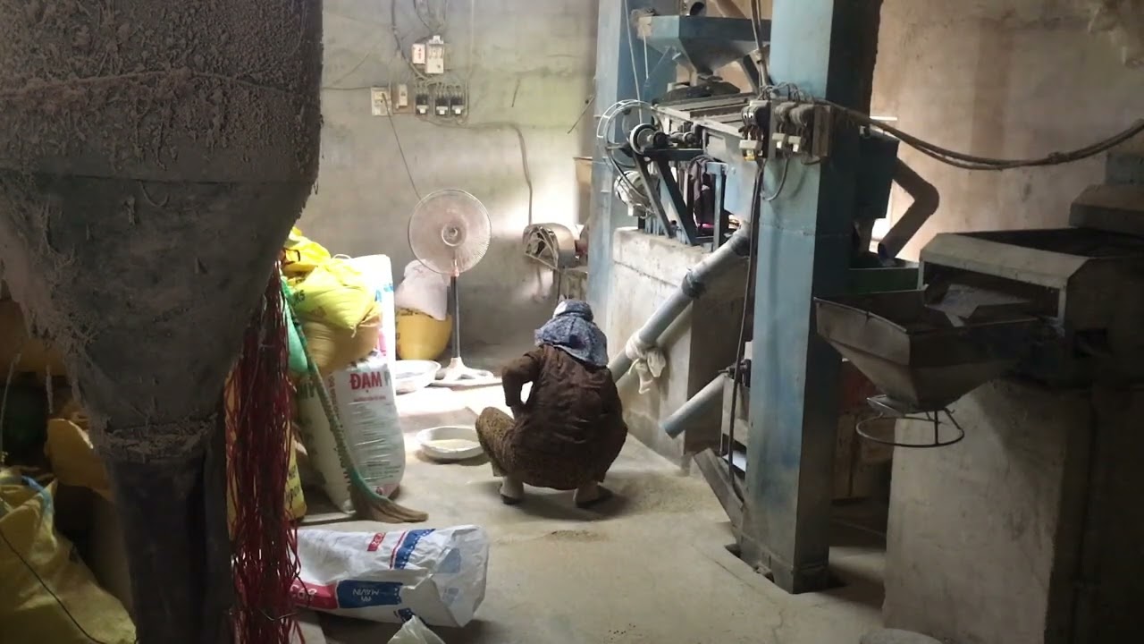 Chỉ Cần Một Ngày Như Thế