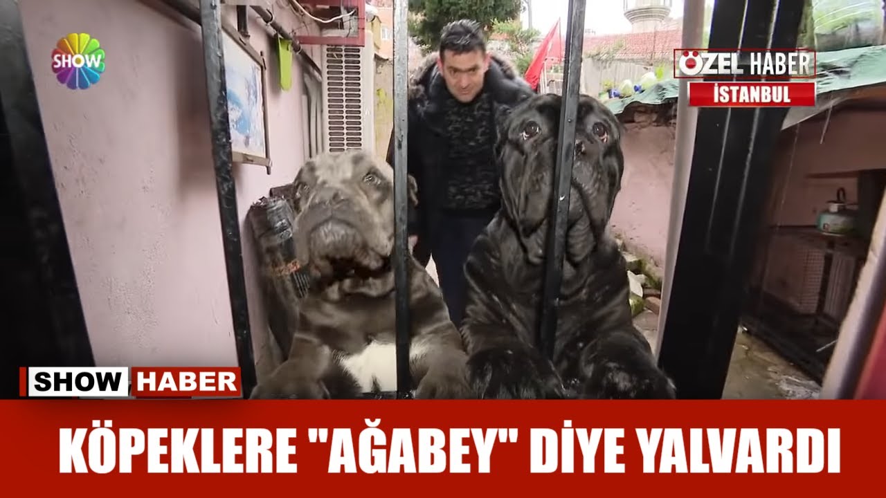 Köpeklere 