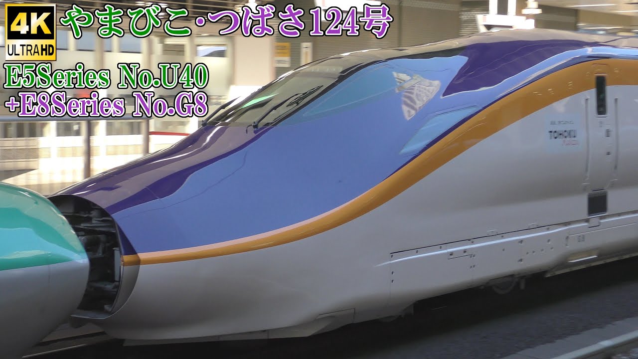 やまびこ・つばさ124号 東北新幹線E5系U40編成+山形新幹線E8系G8編成 250101 JR Tohoku Shinkansen Tokyo Sta.