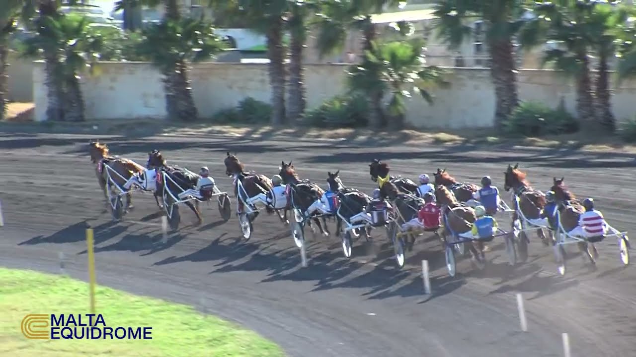 Meeting 16 - 7th April 2024 - Race 8