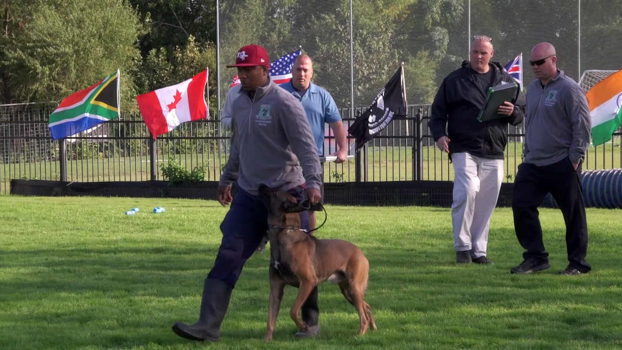 Darrick & Kasino. 2016 PSA Level 1 National Vice Champion