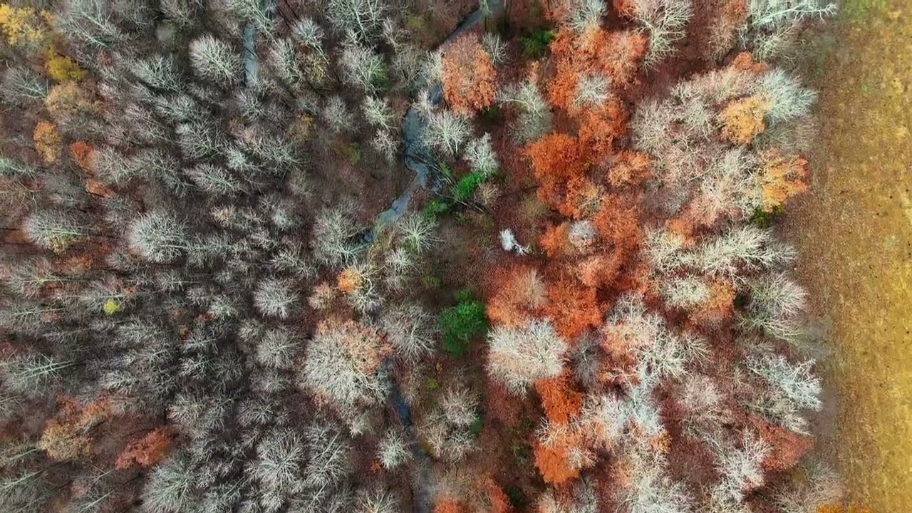The Lazy Stream - 4K - Dji Mini 4 Pro