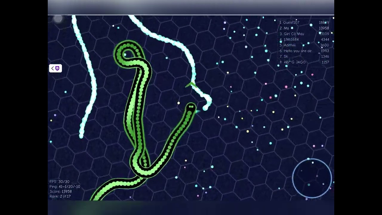 World Record Gulper.io