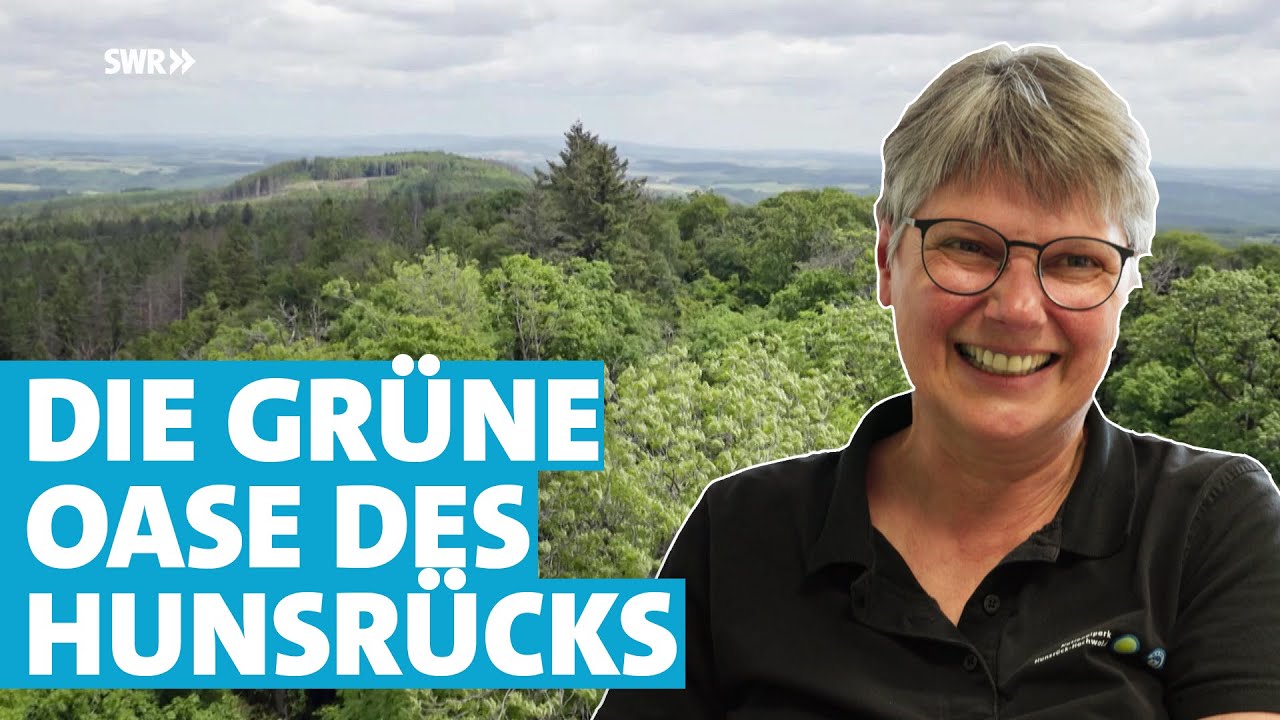 Diese Menschen stecken hinter dem Nationalpark Hunsrück-Hochwald: 10 Jahre - Das Jubiläum