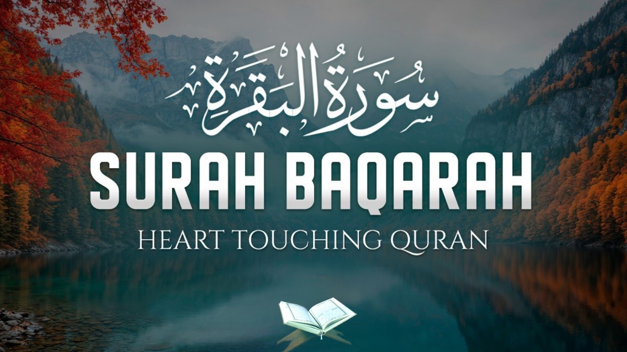 سورة البقرة _ قران الصباح و المساء لحفظ وتحصين المنزل وجلب البركة | Sourah Baqara quran karem