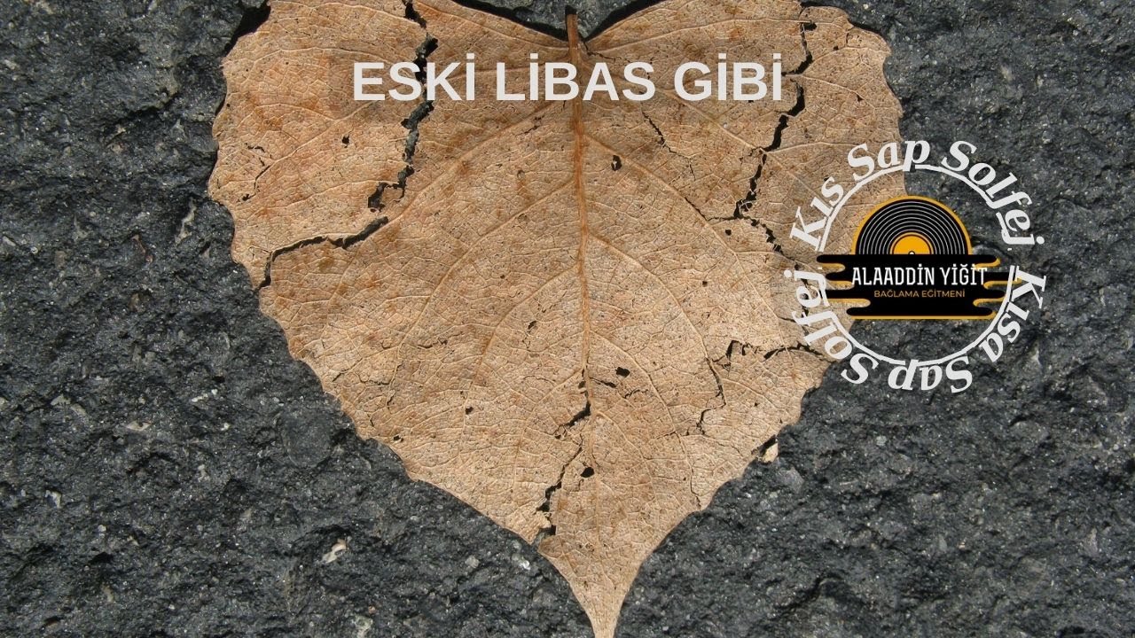 Bağlama Dersi 114 Alaaddin Yiğit ile ( Kısa Sap 