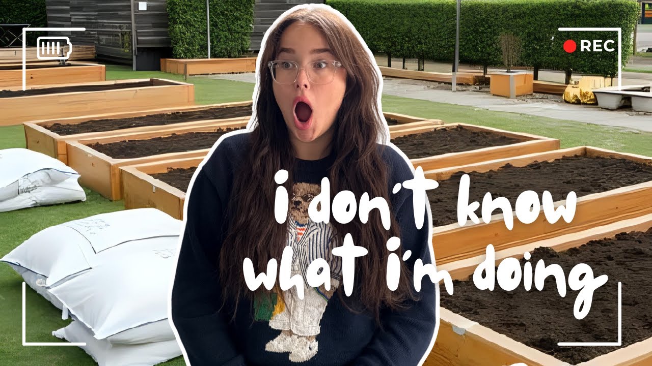 Setting Up My Garden Beds As A Beginner Gardener 🌱