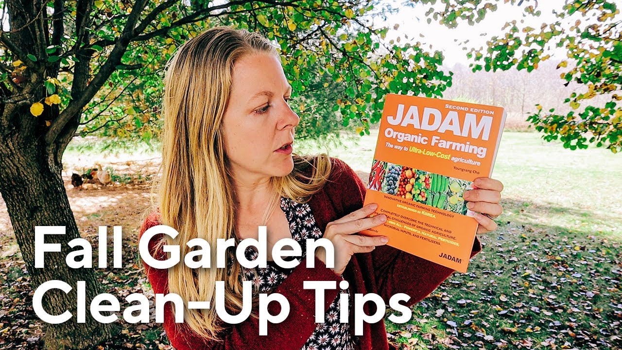 Fall Garden Clean-Up: My Top 5 Tips